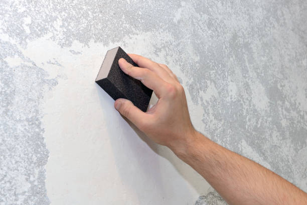 Best Real Estate Mold Inspection  in Maxton, NC