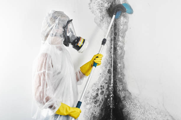 Maxton, NC Mold Removal Company