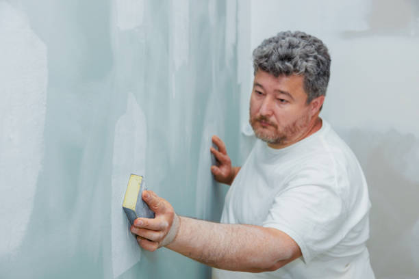 Best Mold Odor Removal Services  in Maxton, NC