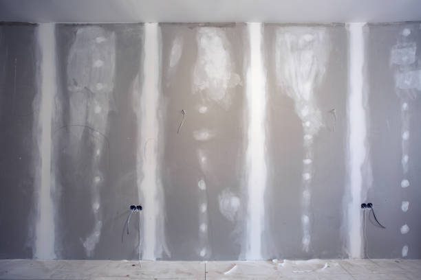 Best Air Quality Testing for Mold Spores  in Maxton, NC